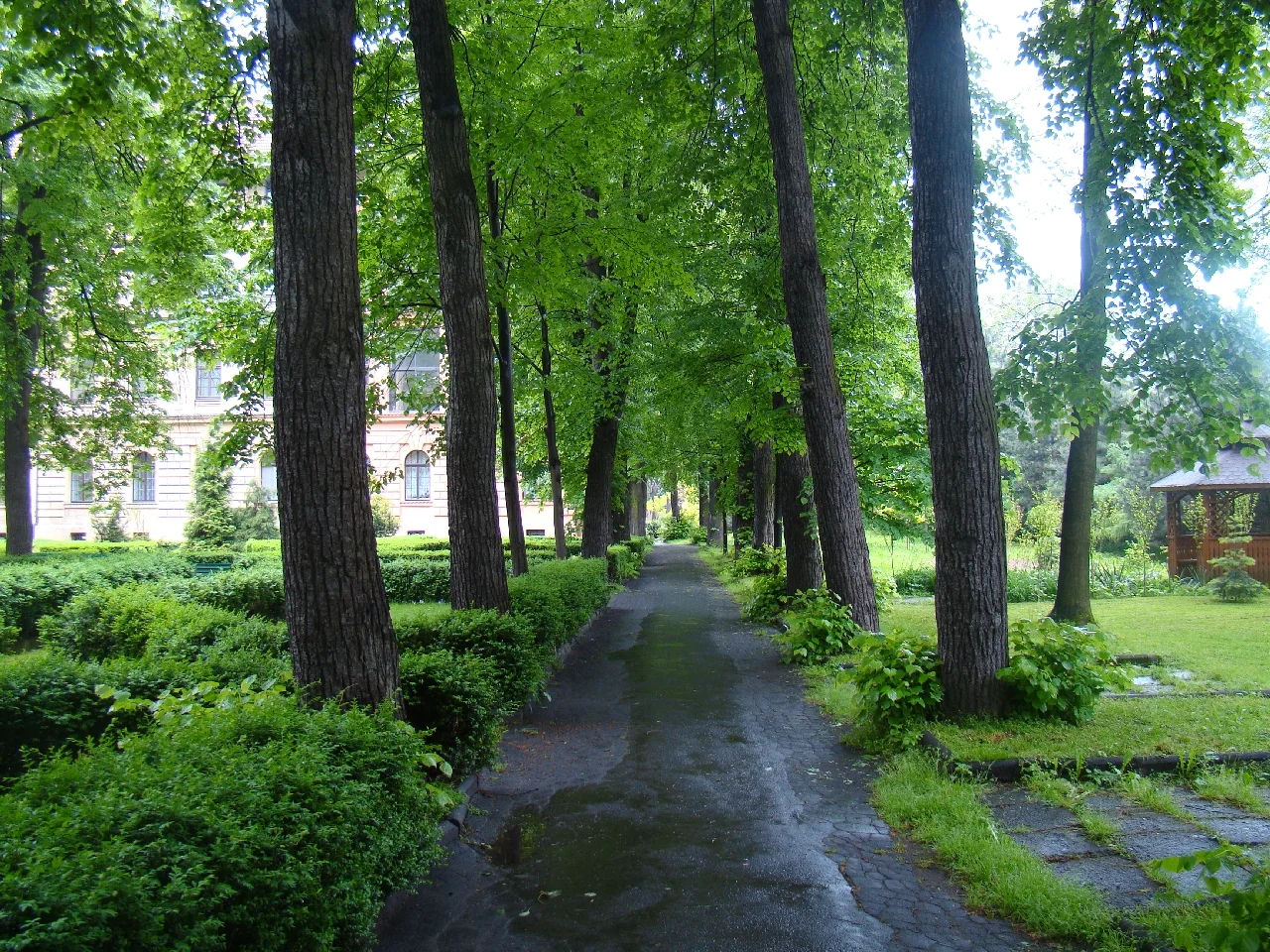 Poradnia opiekunów rodzinnych- harmonogram na październik
